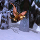 Illustration for article titled World Of Warcraft Plushies: On The Wings Of Cuteness